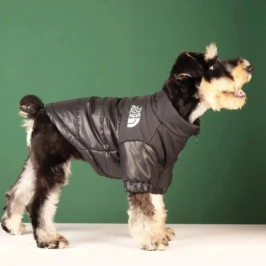 Dog Face Jacket - Type A