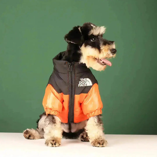 Dog Face Jacket - Type A