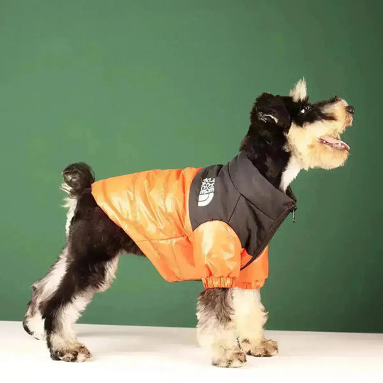 Dog Face Jacket - Type A