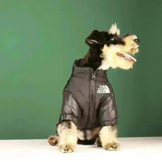 Dog Face Jacket - Type A