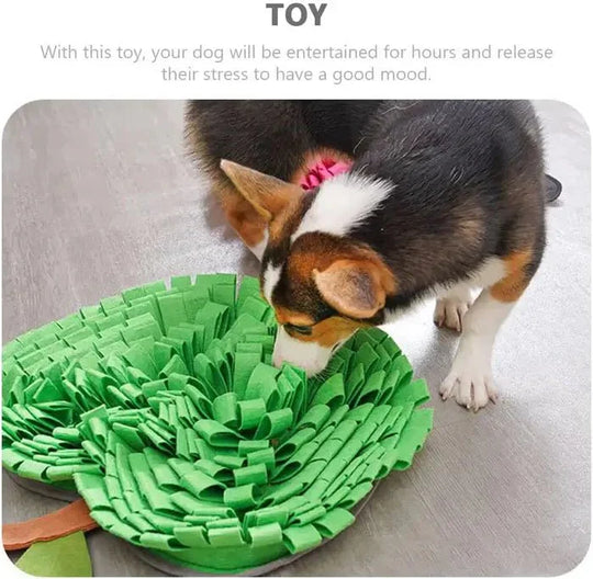 Dog Snuffle Mat
