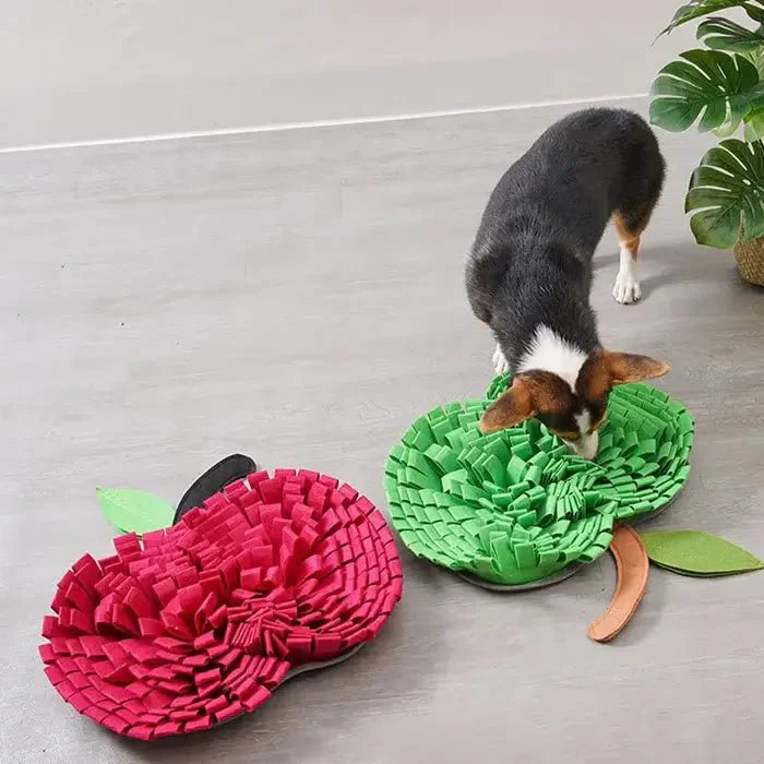 Dog Snuffle Mat