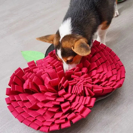 Dog Snuffle Mat
