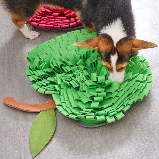 Dog Snuffle Mat