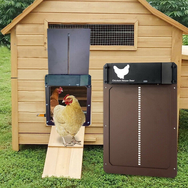 Automatic Chicken Door | Poultry PRO+