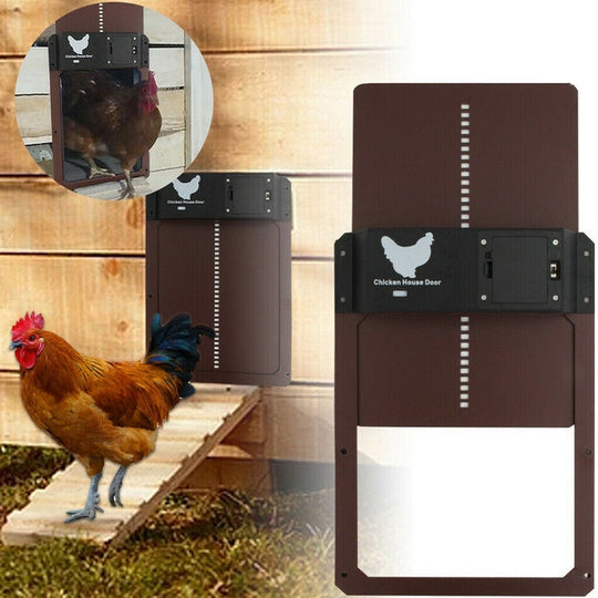 Automatic Chicken Door | Poultry PRO+