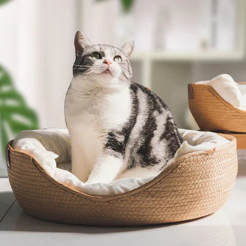 Bamboo Bed Lift