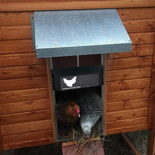Automatic Chicken Door | Poultry PRO+