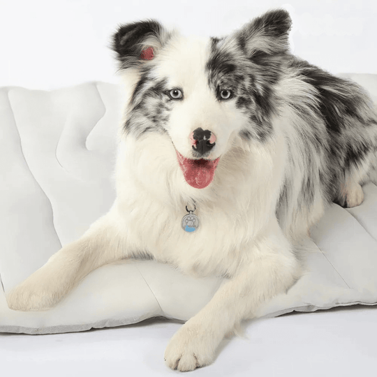 Self-Cooling Dog Mat – Cooling Mat for Hot Summer Relief