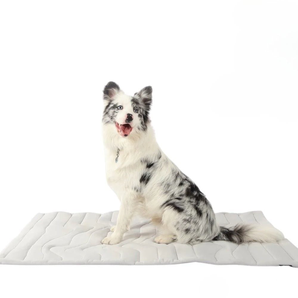 Self-Cooling Dog Mat – Cooling Mat for Hot Summer Relief
