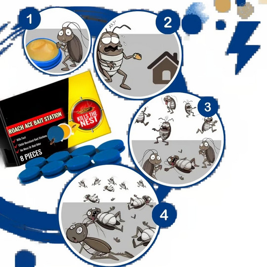 Odourless Cockroach Traps