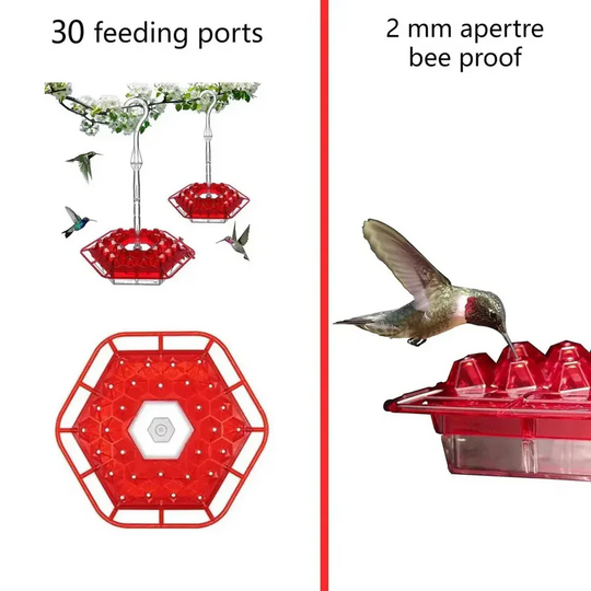 Hanging Hummingbird Feeder Leak-Proof Design with Ant Protection & Perch