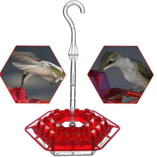 Ant-Proof Hummingbird Feeder with Outdoor Hanging Perch