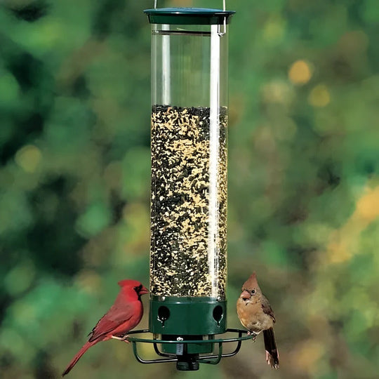 Squirrel-Proof Bird Feeder