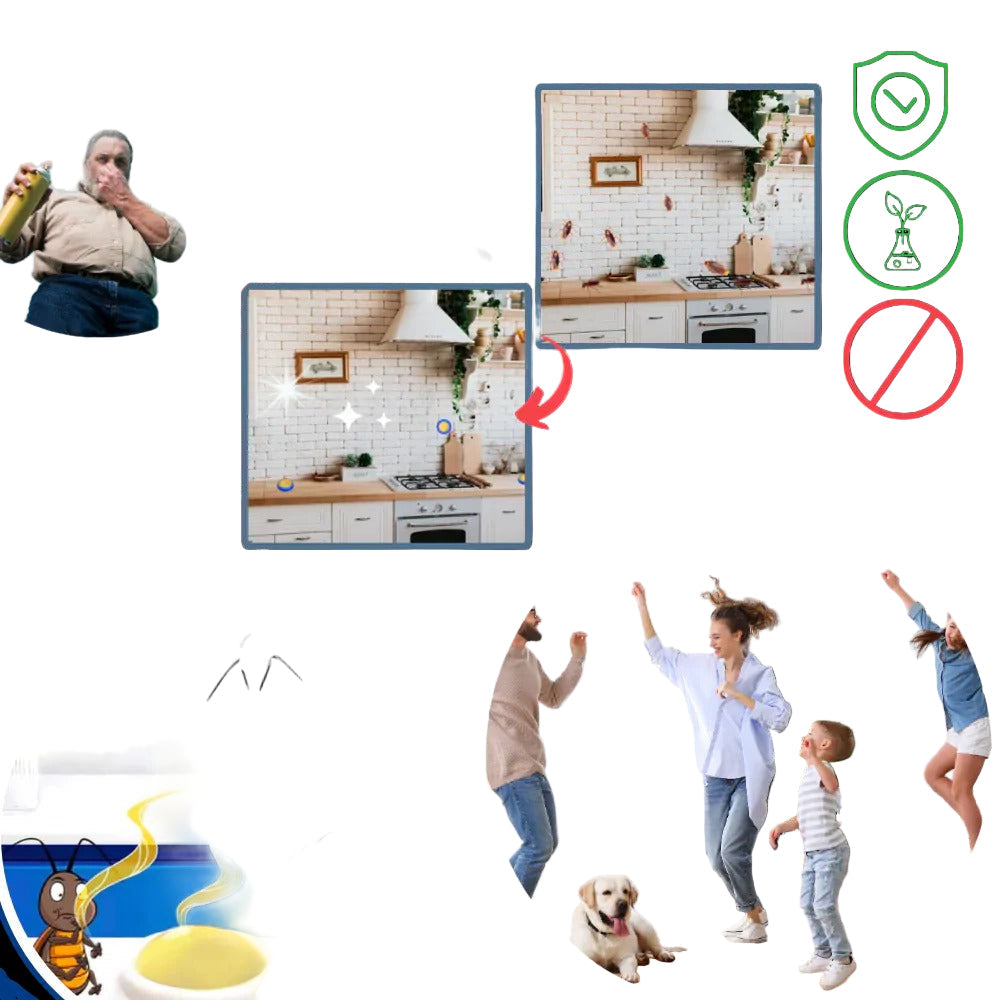 Odourless Cockroach Traps