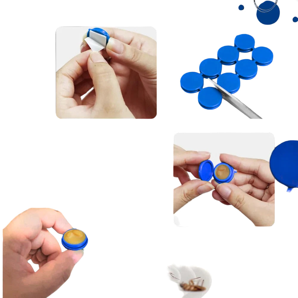 Odourless Cockroach Traps