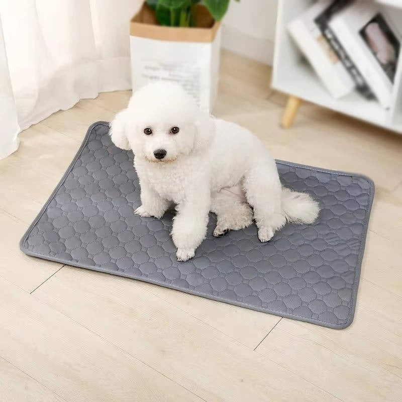 Dog Pee Pads Disposable and Reusable