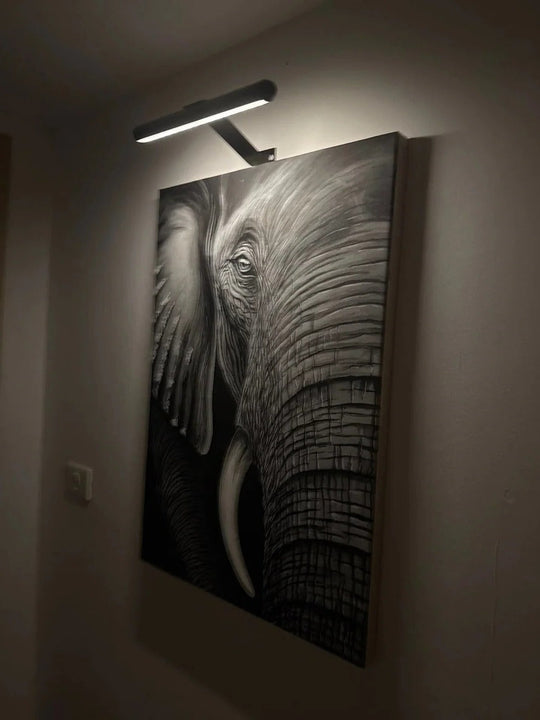 Wireless Rechargeable LED Wall Light for Artwork and Decor