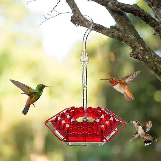 Hanging Hummingbird Feeder Leak-Proof Design with Ant Protection & Perch