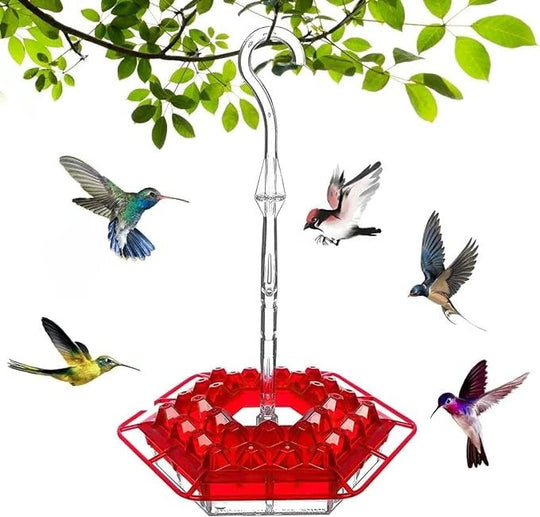 Hanging Hummingbird Feeder Leak-Proof Design with Ant Protection & Perch
