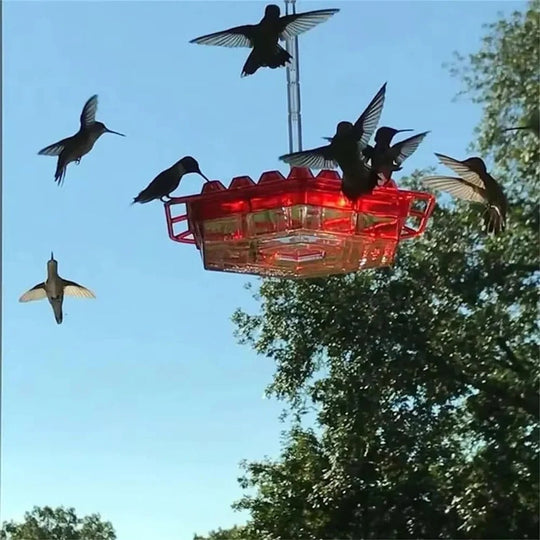 Hanging Hummingbird Feeder Leak-Proof Design with Ant Protection & Perch