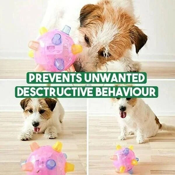Jumping Activation Ball for Dogs, Interactive Bouncing Toy