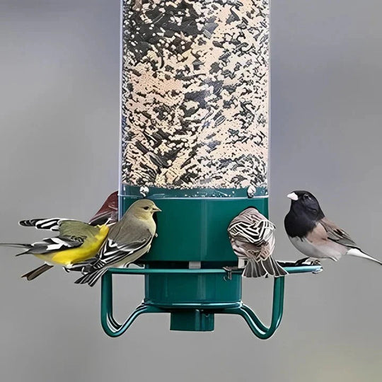 Weather Resistant Squirrel Proof Bird Feeder for Outdoor Use