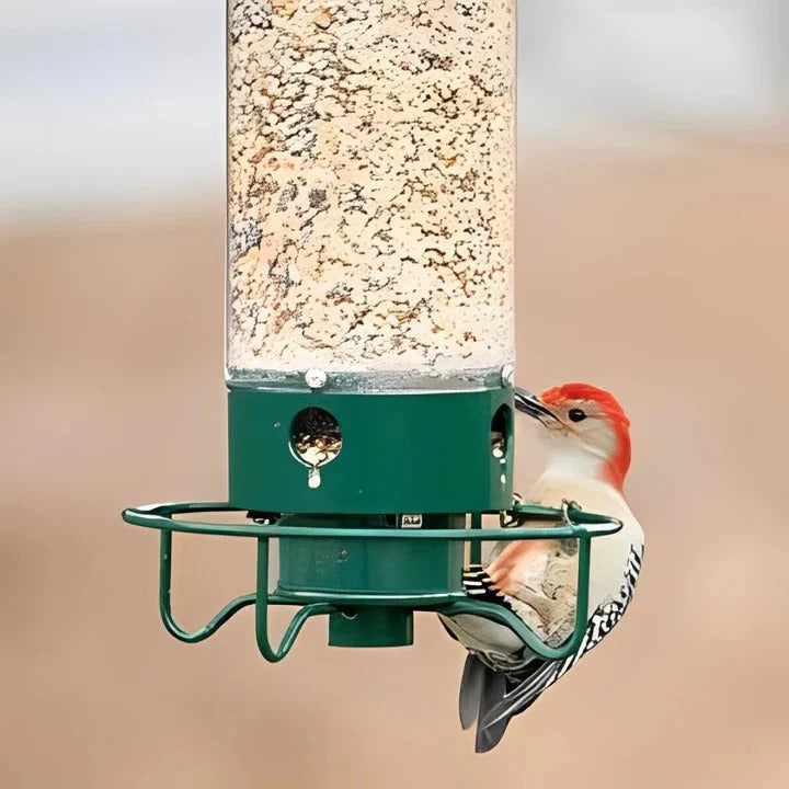 Weather Resistant Squirrel Proof Bird Feeder for Outdoor Use