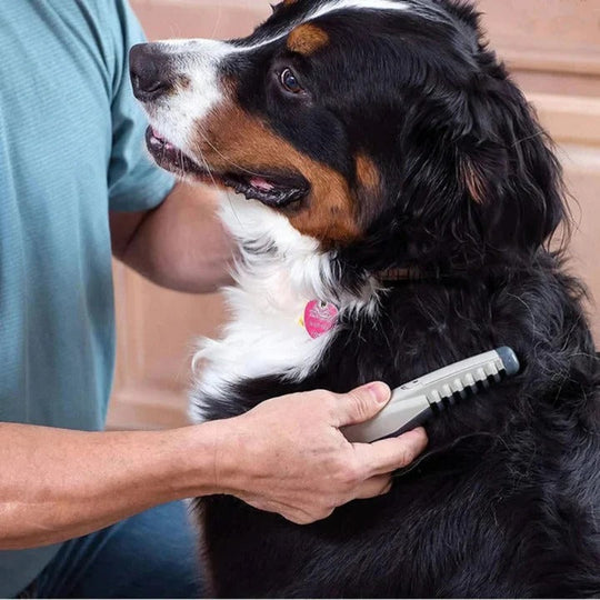 Anti-Tangle Pet Grooming Rake for Dogs with Long Hair