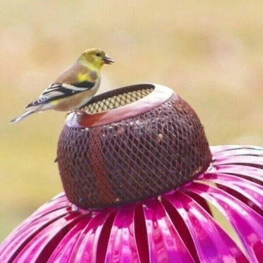 Outdoor Coneflower Bird Feeder with Durable Metal Seed Dish
