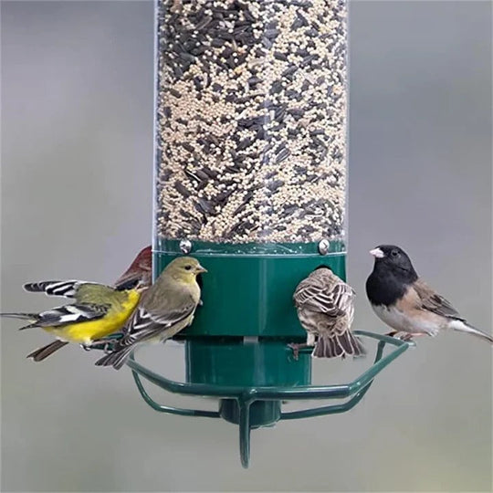 Bird Feeder with Squirrel Deterrent Features