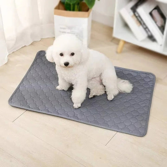 Dog Pee Pad with Reusable Four Layer Construction and TPU Base