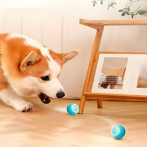 Automatic Rolling Pet Ball for Cats and Dogs with USB Charging