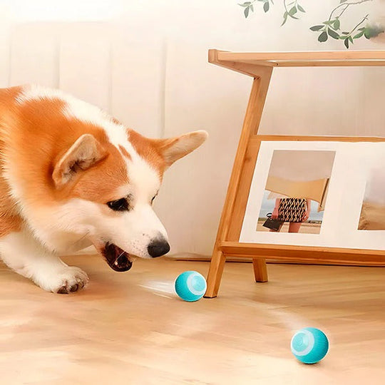 Automatic Rolling Pet Ball for Cats and Dogs with USB Charging