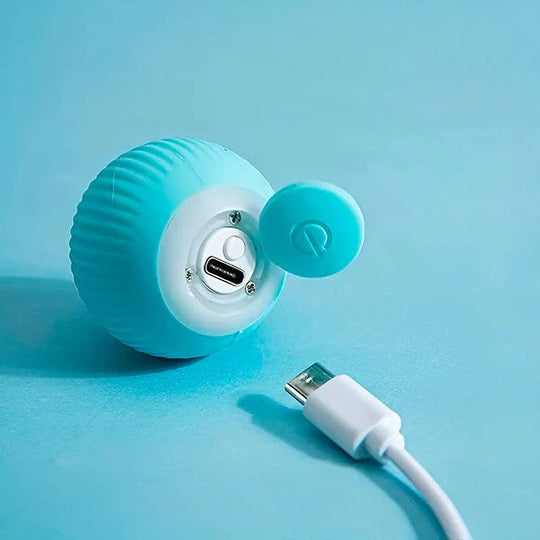 Automatic Rolling Pet Ball for Cats and Dogs with USB Charging