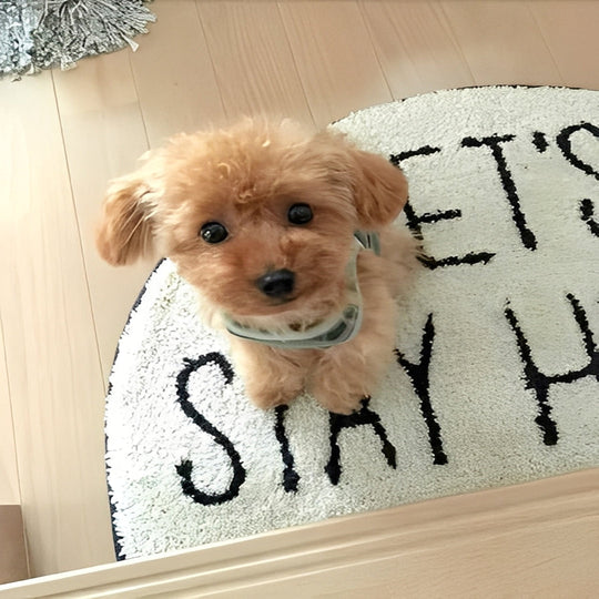 Teddy Dog Plush Toy