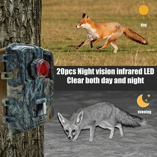 Mini Trail Camera with Infrared LEDs and Motion Detection