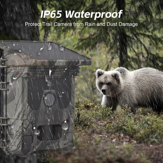 Solar Powered Trail Camera with Night Vision and Outdoor Use