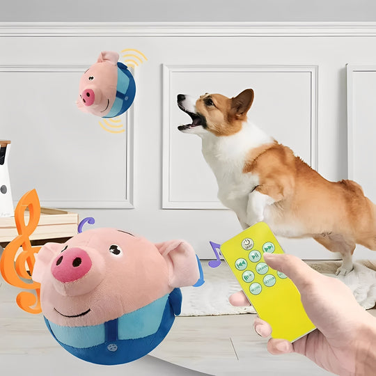 Dog Toy Ball with Touch Activated Music and Motion