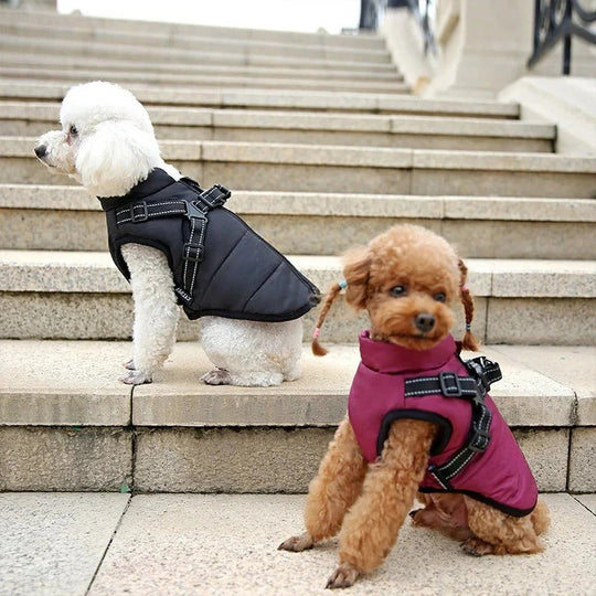 Insulated Dog Coat with Built-In Harness for Cold Weather