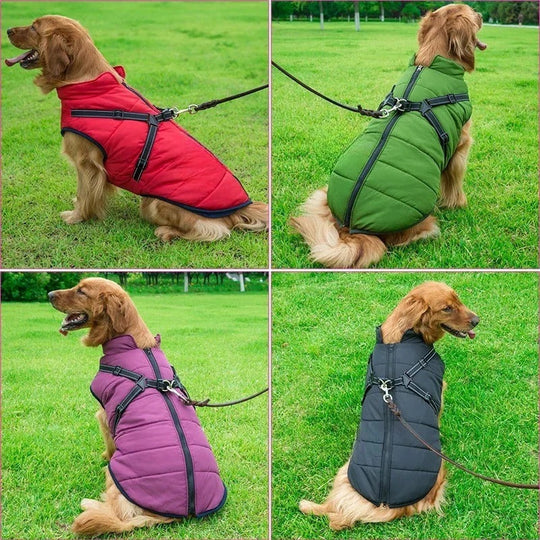 Insulated Dog Coat with Built-In Harness for Cold Weather
