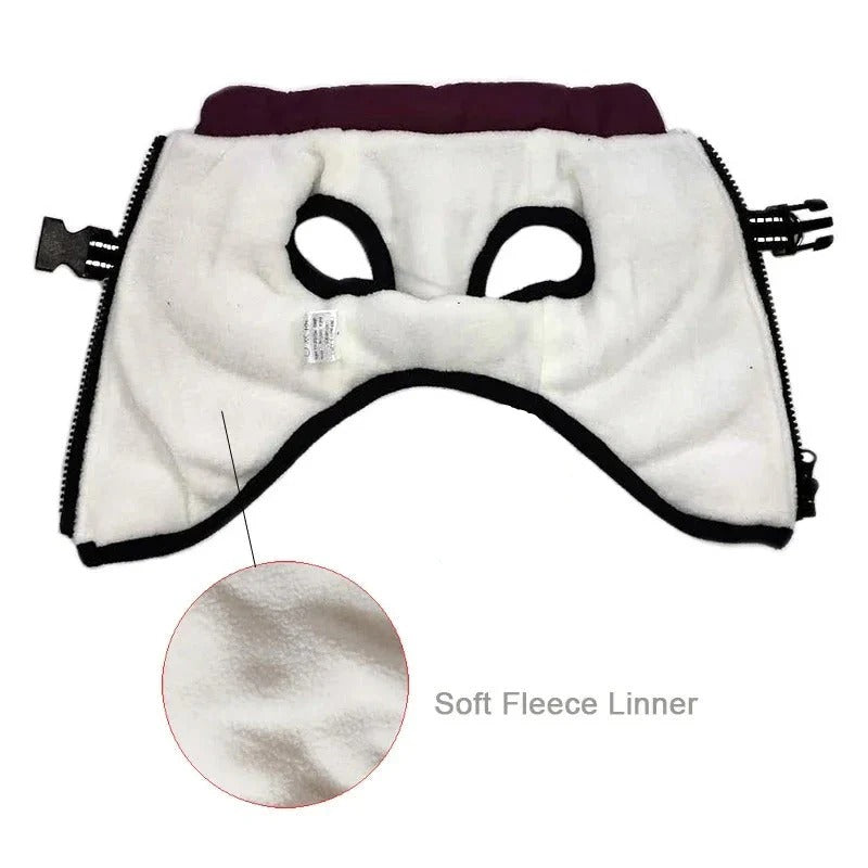Insulated Dog Coat with Built-In Harness for Cold Weather