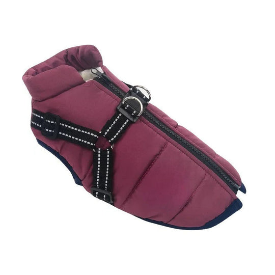 Insulated Dog Coat with Built-In Harness for Cold Weather