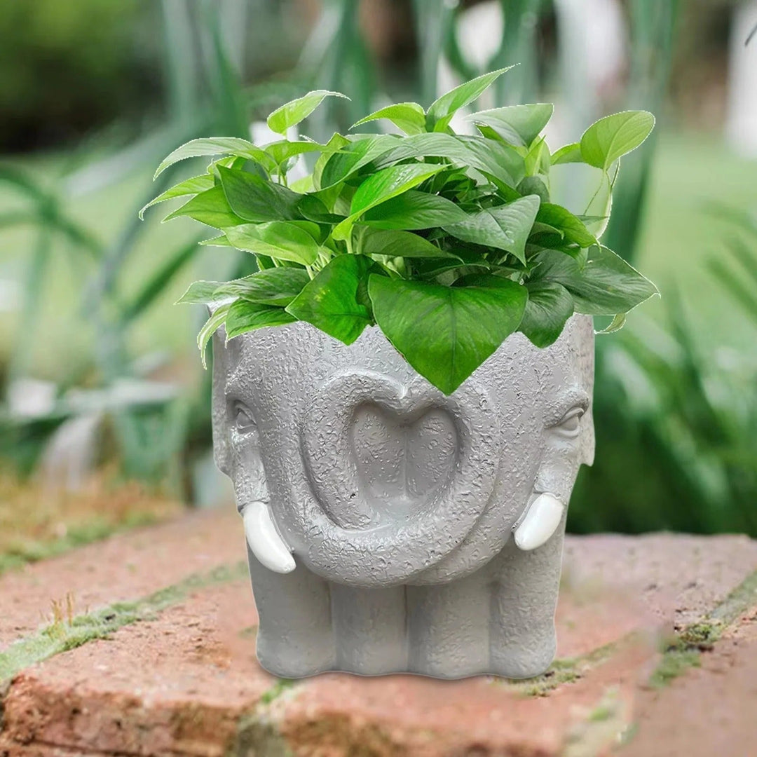 Small Cartoon Plant Pot for Succulents and Decorative Home Display