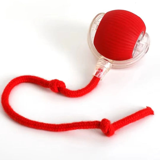 Motorised Rolling Cat Toy with Fibre Tail Design