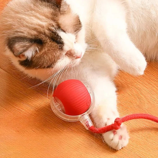 Motorised Rolling Cat Toy with Fibre Tail Design