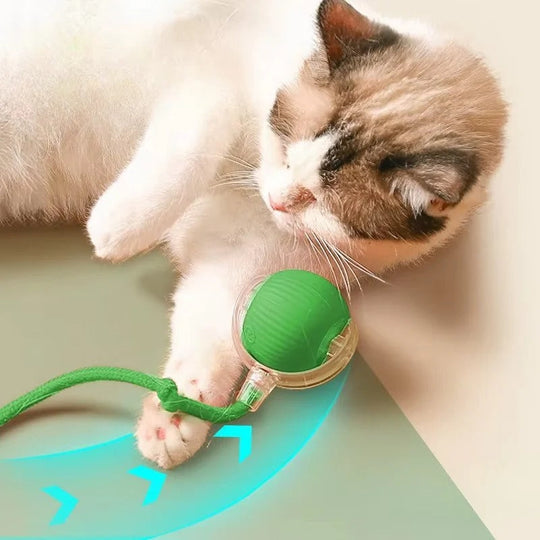 Motorised Rolling Cat Toy with Fibre Tail Design