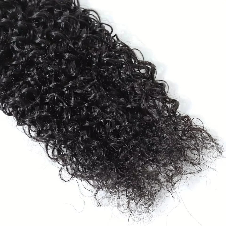 Brazilian Curly Human Hair and Kinky Curly Extensions
