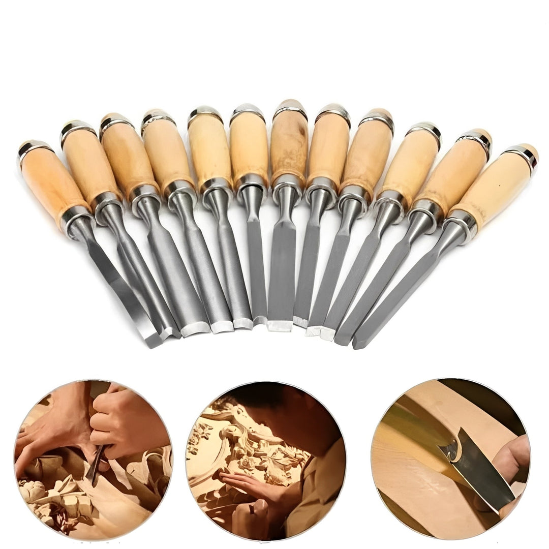 Wood Carving Tool Set with 12 Piece Assorted Knives and Chisels