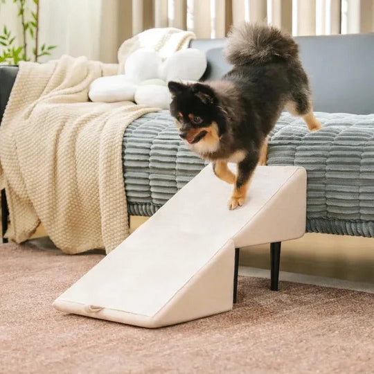 Adjustable 2 in 1 Pet Ramp and Step Stool